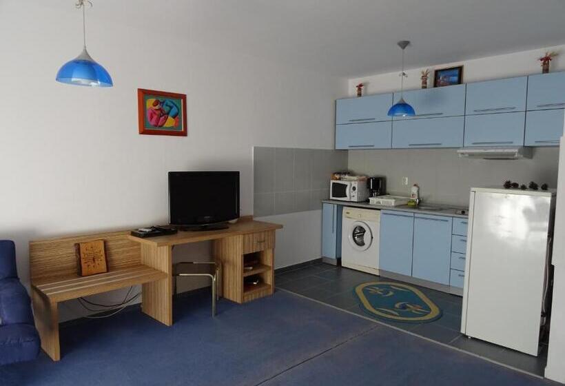 Apartament 1 Dormitori amb Balcó, Club Onix Apartments