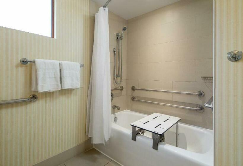 اتاق کلاسیک با تخت دونفره, Sheraton Carlsbad Resort & Spa