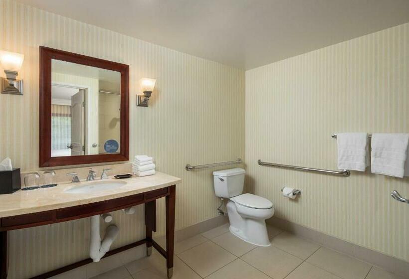 اتاق کلاسیک با تخت دونفره, Sheraton Carlsbad Resort & Spa