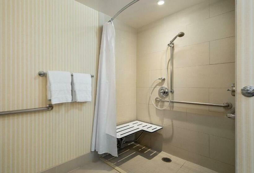 اتاق کلاسیک با تخت دونفره, Sheraton Carlsbad Resort & Spa