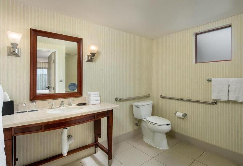 اتاق کلاسیک با تخت دونفره, Sheraton Carlsbad Resort & Spa