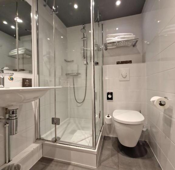 Номер Стандарт Индивидуальный, Best Western Citadelle