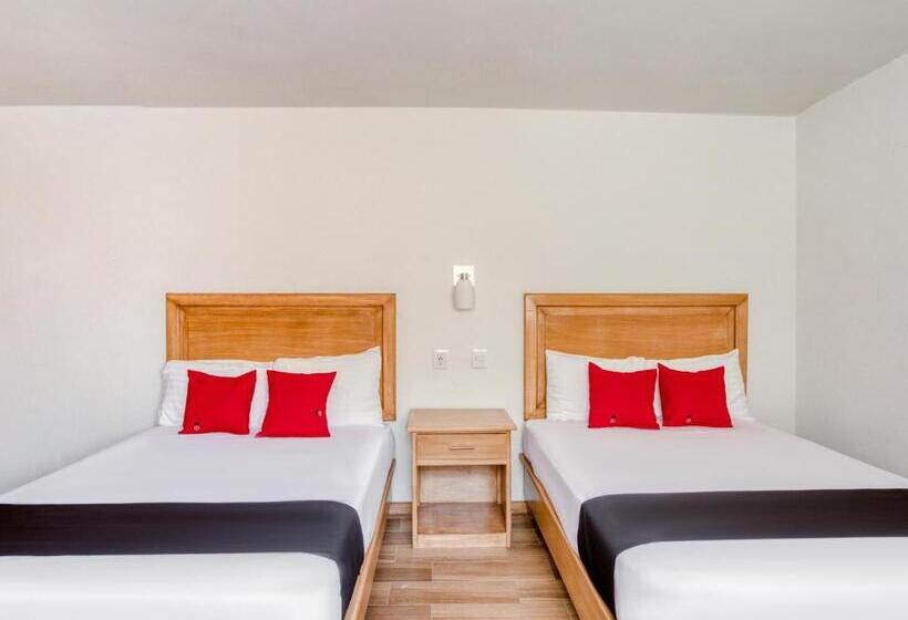 スタンダードルーム, Capital O Gran Hotel Campestre