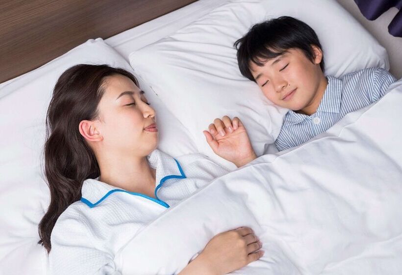 스탠다드 룸, Comfort Hotel Kariya