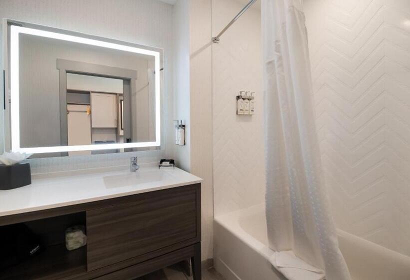 适合残疾人使用的标准间, Holiday Inn & Suites   Mt Juliet Nashville Area, An Ihg