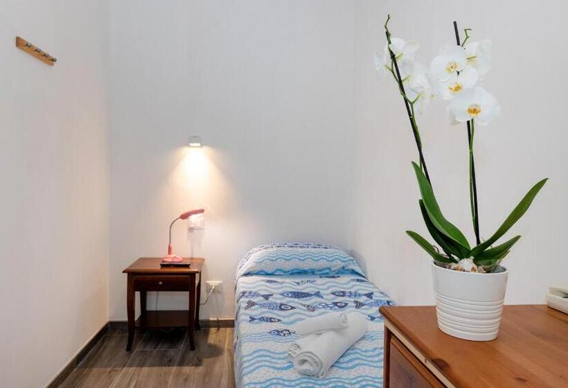 اتاق اکونومی یک تخته, B&b Oasi
