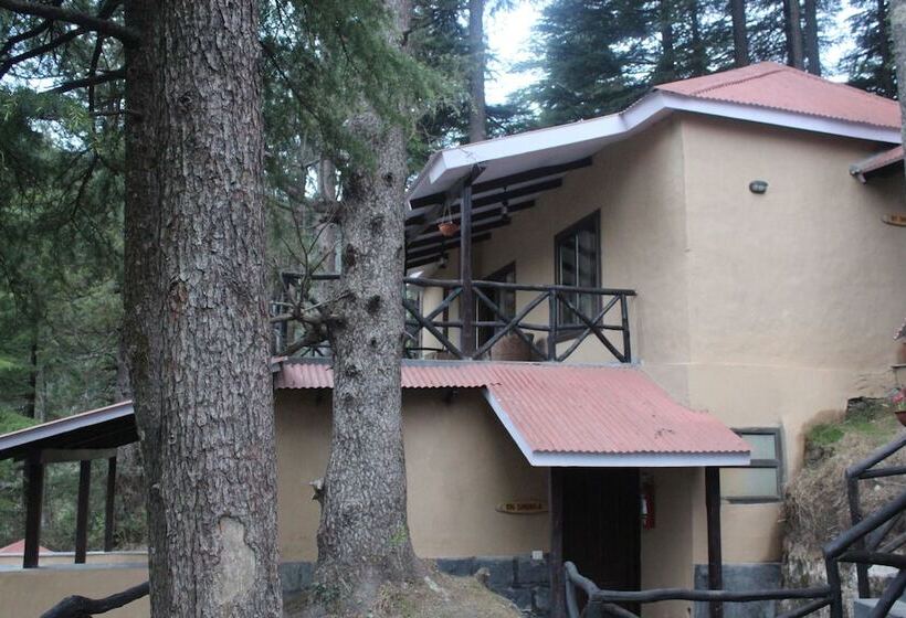 디럭스 룸, Aamod Dalhousie