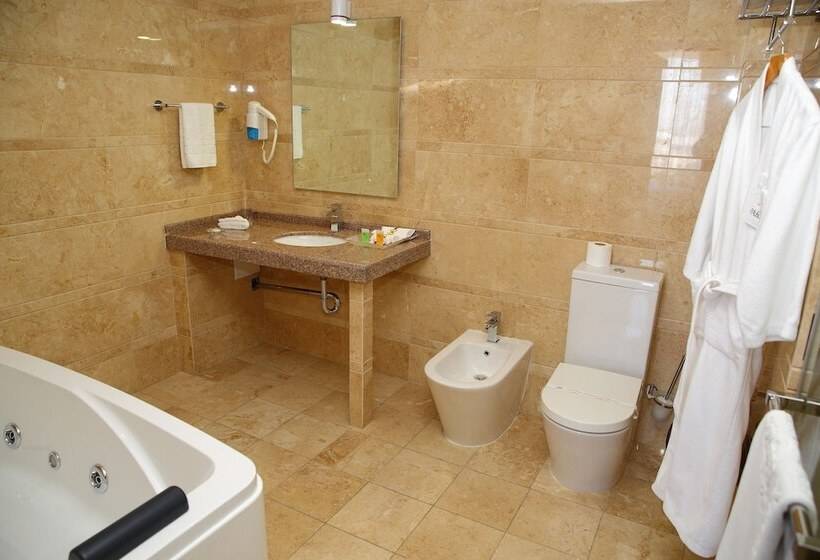 اتاق سوپریور یک تخته, Park Hotel Bishkek