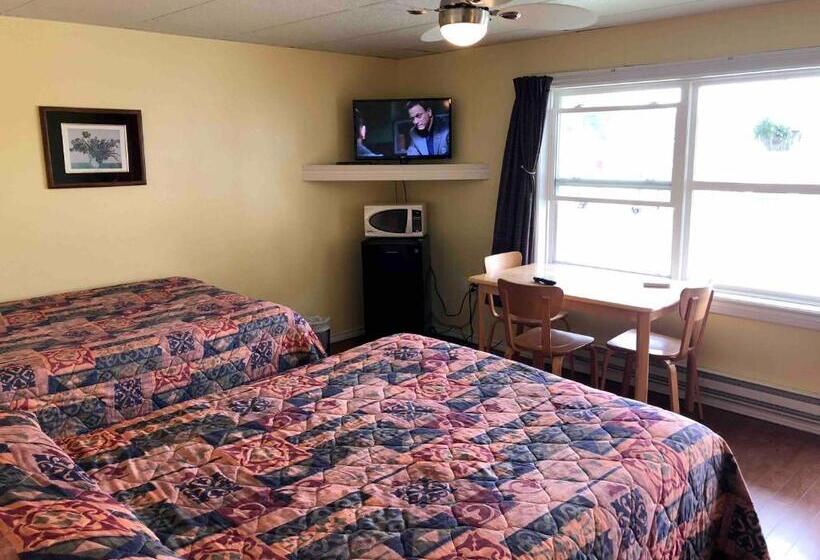 带2个双人床的标准工作室, Lakelawn B&b Motel