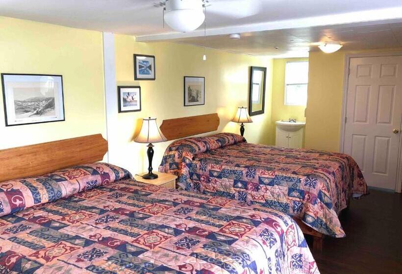 豪华房间, Lakelawn B&b Motel