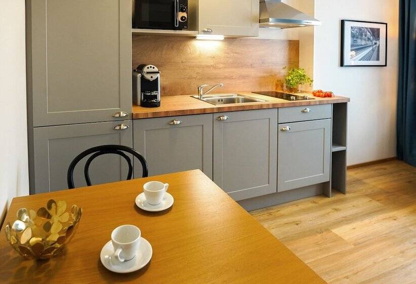 스탠다드 스튜디오, Citadines South Vienna