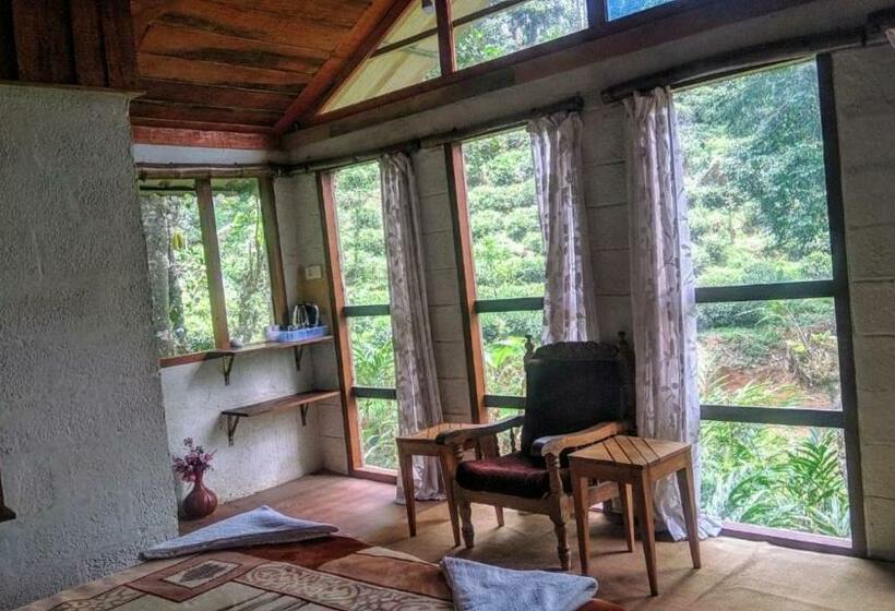 خانه 1 خوابه, Jungle Jive Tree House