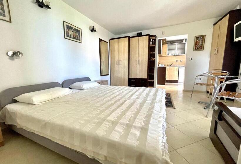 Студия Стандарт, Guest House Daris