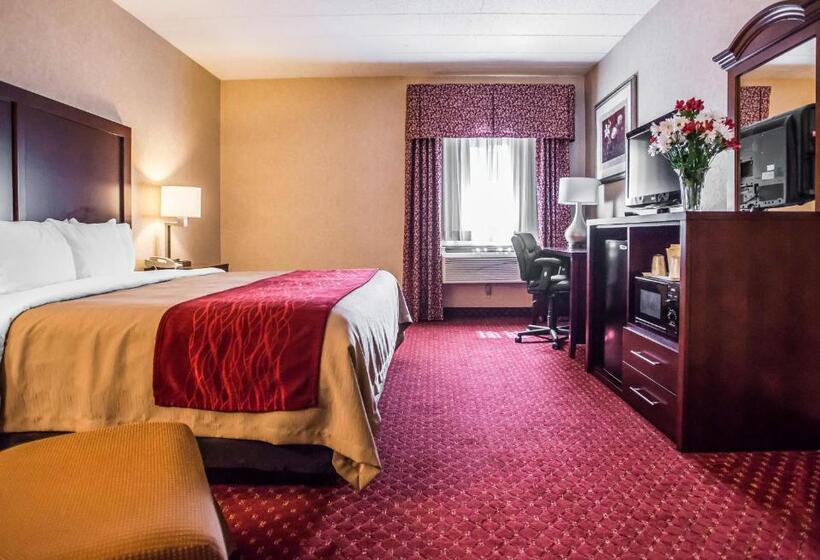 Стандартный Номер Кровать Кинг, Comfort Inn Pocono Lakes Region