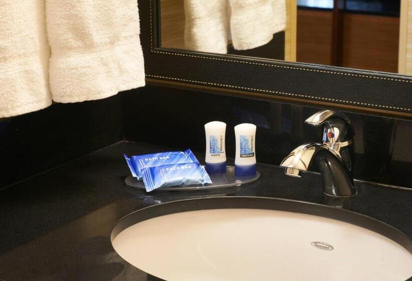Номер Стандарт, Fairfield Inn & Suites By Marriott Frankenmuth