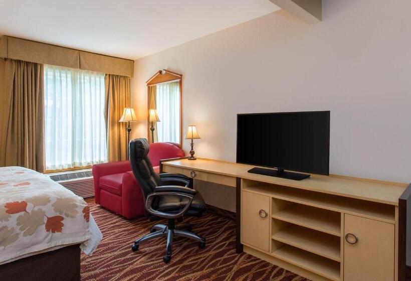 Номер Стандарт, Hawthorn Suites By Wyndham Allentownfogelsville