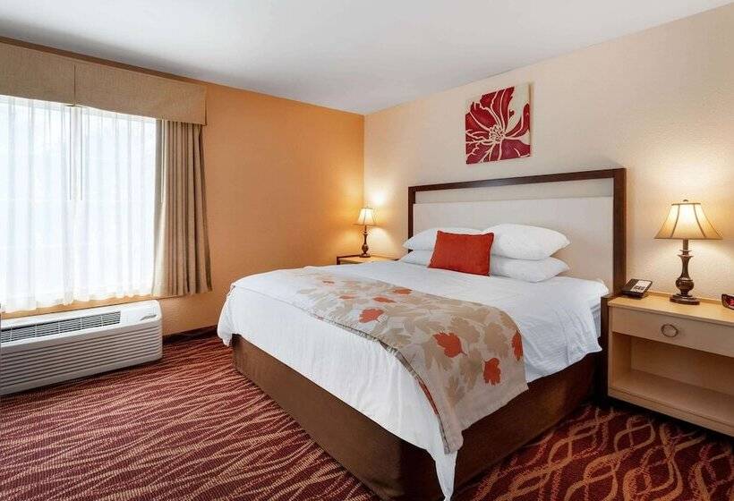 Люкс, Hawthorn Suites By Wyndham Allentownfogelsville