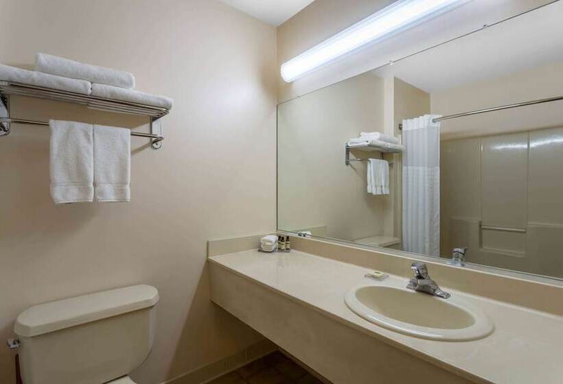 Люкс, Hawthorn Suites By Wyndham Allentownfogelsville