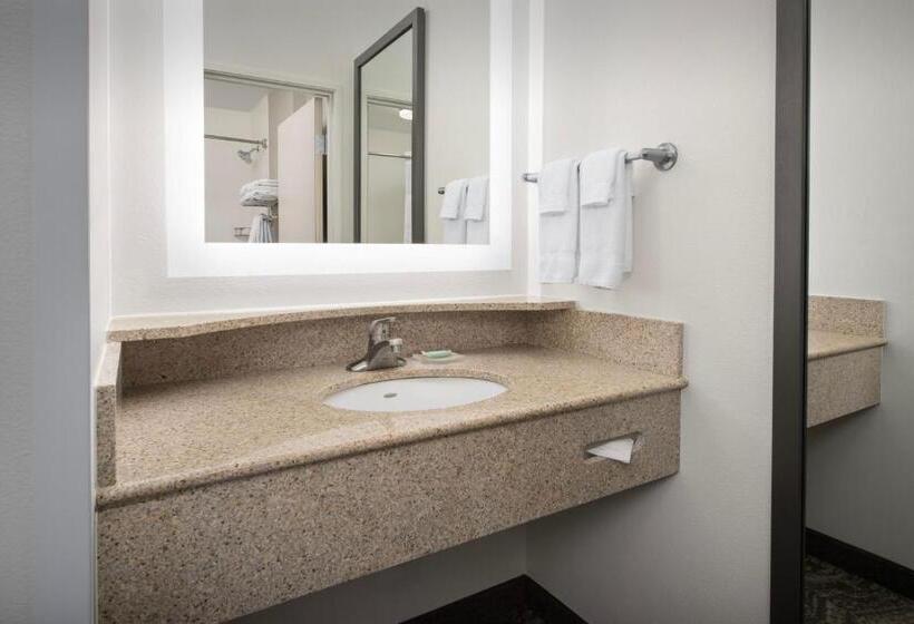 Люкс, Springhill Suites By Marriott Portland Vancouver