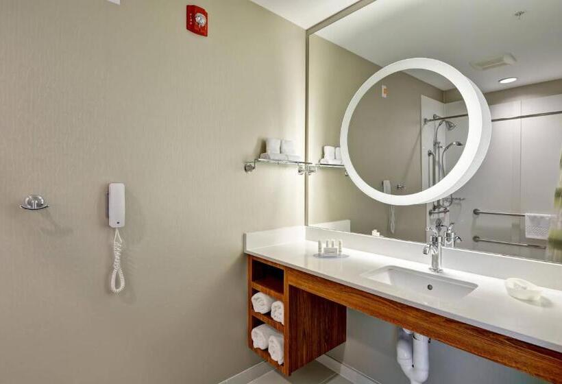 Студио Стандарт Кровать Кинг, Springhill Suites Cincinnati Airport South
