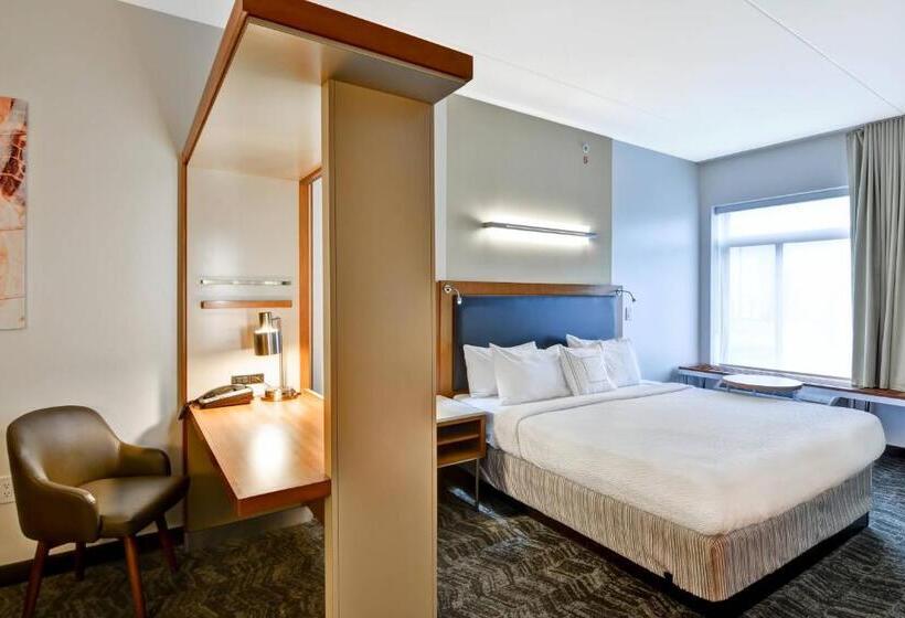 Студио Стандарт Кровать Кинг, Springhill Suites Cincinnati Airport South