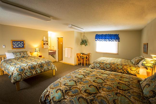 Номер Стандартный Кровать Куин, Adventure Inn