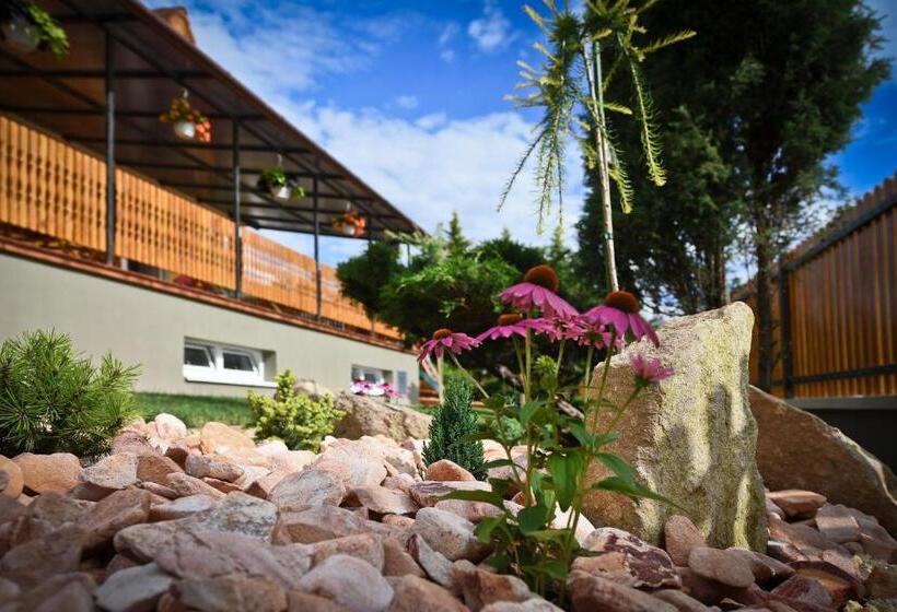 Апартаменты 1 Спальня Вид на Сад, Rajna Villabridge&spa
