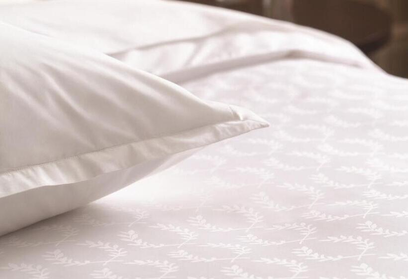 اتاق کلاسیک با تخت دونفره, Sheraton Grand Adana