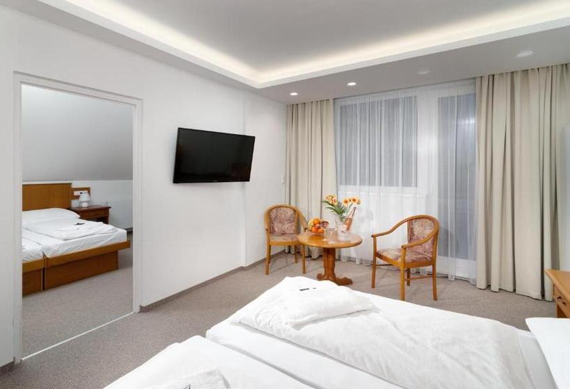 سوئیت با بالکن, Wellness Hotel Astra