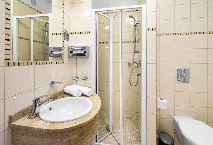 اتاق کلاسیک, Wellness Hotel Astra
