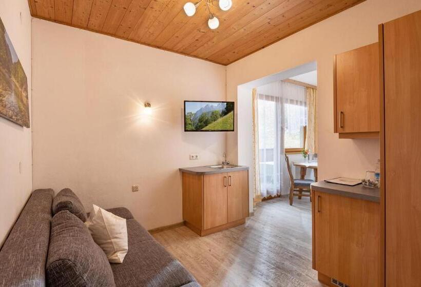Номер Стандарт с Балконом, Pension Gieringer
