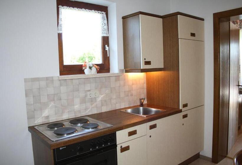 Апартаменты 1 Спальня, Pension Ferienwohnung Rotar
