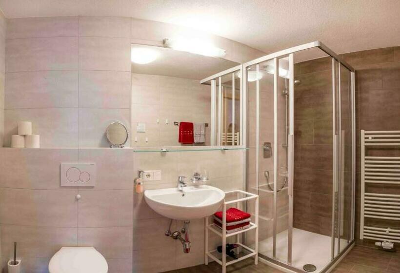 Апартаменты 1 Спальня с Балконом, Rosenhof  Premium Apartments & Erlebnisbauernhof