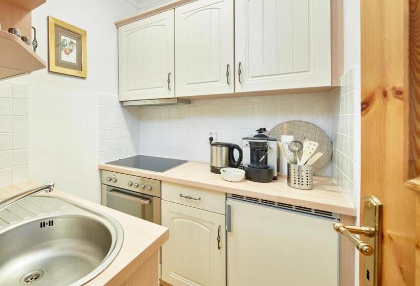 آپارتمان 1 خوابه با بالکن, Landsitz Römerhof   Hotel Apartments
