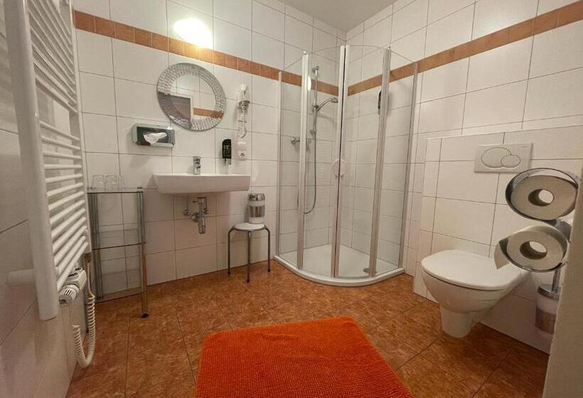 Номер Superior, Pension Göschlberger