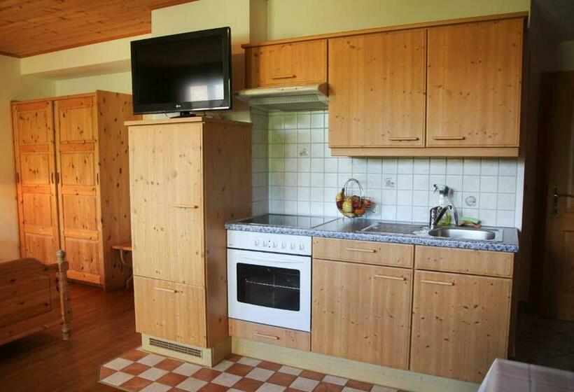استودیوی استاندارد, Gesundheitshof Lohninger