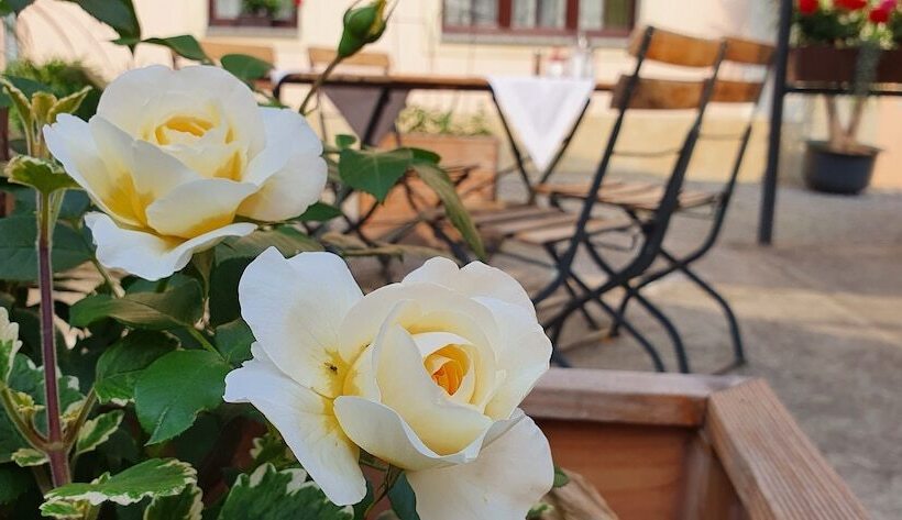 Номер Комфорт, Pension Marlis