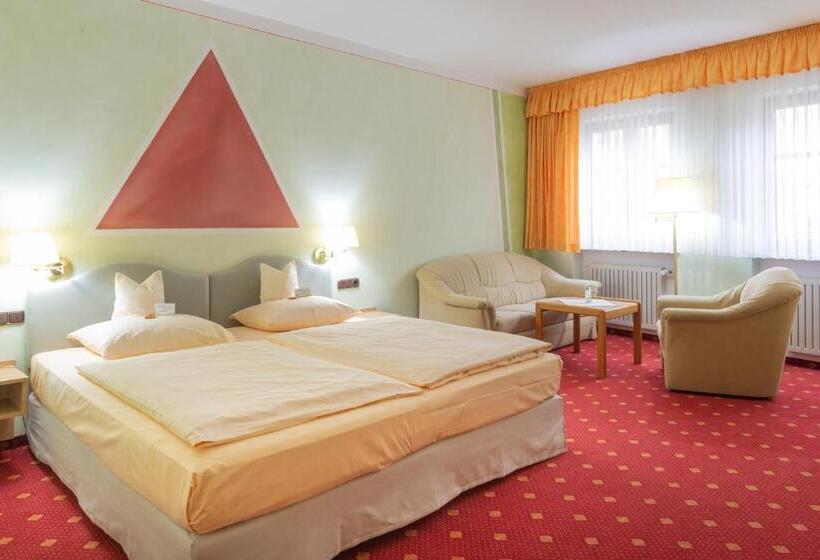 Номер Стандарт, Goldener Schwan Hotel Garni