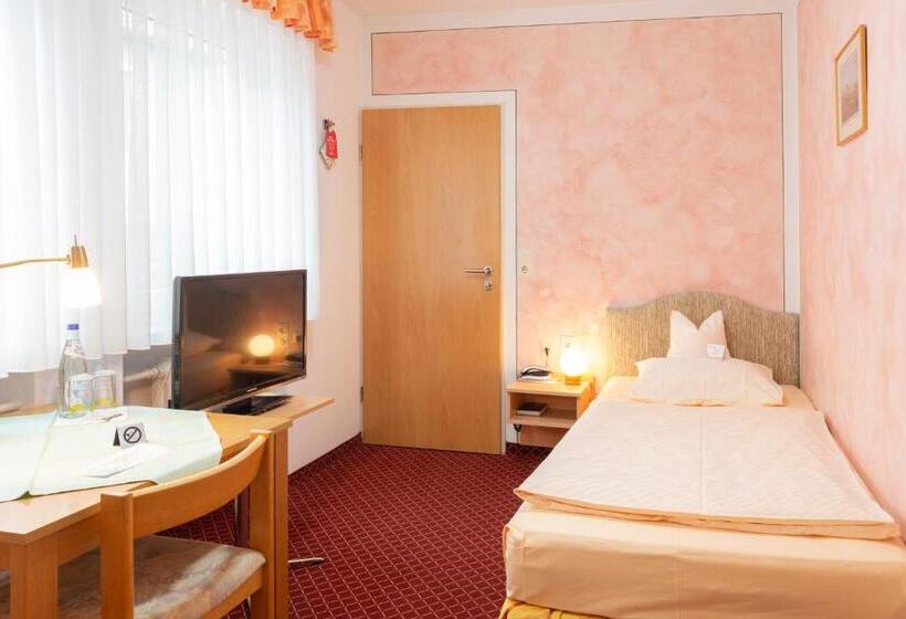 Номер Стандарт Индивидуальный, Goldener Schwan Hotel Garni