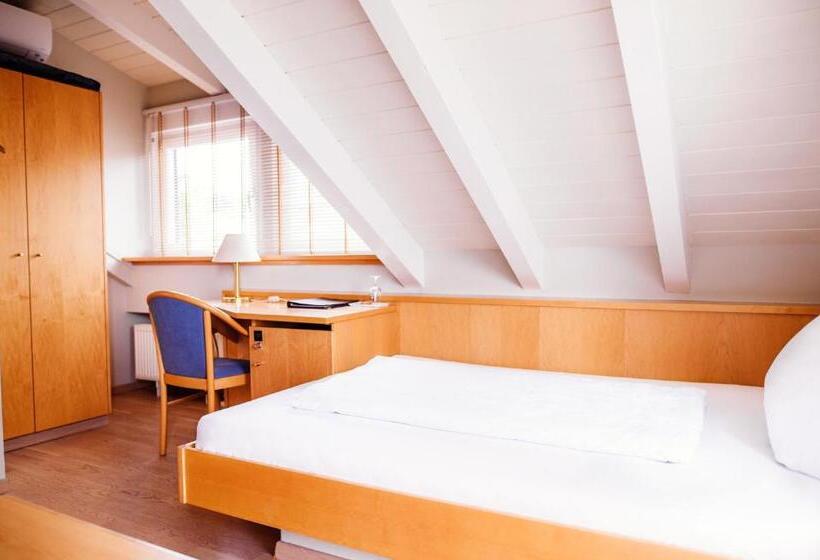 Номер Deluxe Одноместный, Sporthotel Schönblick