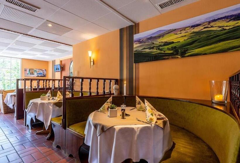 Одноместный Номер Basic, Thermen Hotel & Restaurant Bad Soden