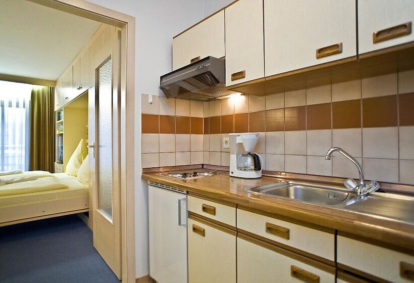 Апартаменты 1 Спальня, Appartmenthaus Thermenhof