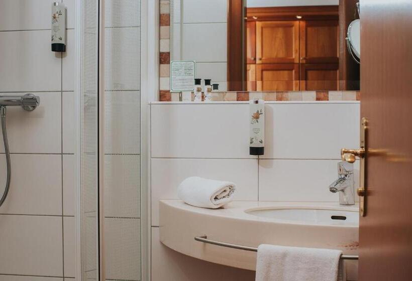 Номер Economy, Ortner S Resort