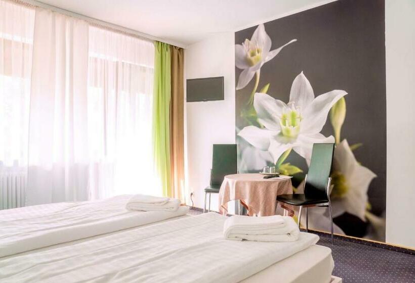 스탠다드 룸, Schwanen Resort