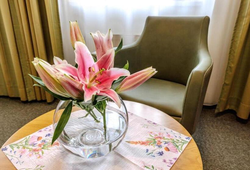 Номер Стандарт, Flair Hotel Kamenz