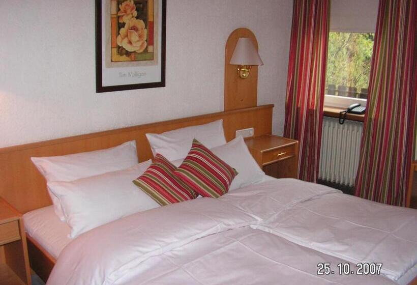Номер Стандарт Индивидуальный, Landgasthof & Hotel Zum Schwan Gmbh