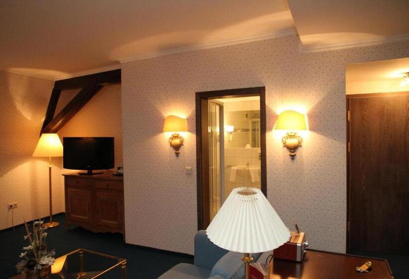 Номер Стандарт, Stadthotel Patrizier