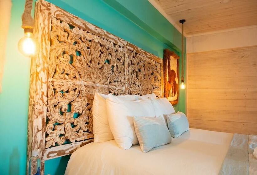 استودیوی کلاسیک, Wave Pichilemu Lodge