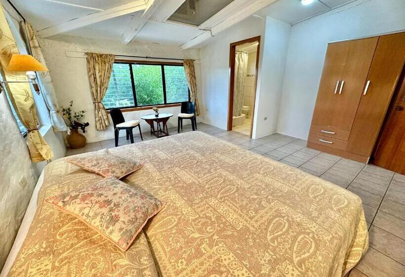 اتاق استاندارد با تخت بزرگ, Jean's Home