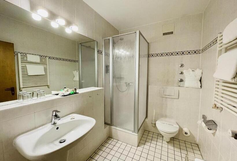 اتاق استاندارد, Schloss Hotel Herborn
